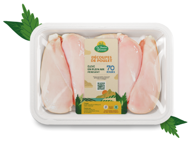 Chicken Plate